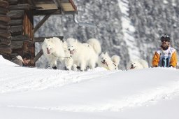 Kandersteg 2013